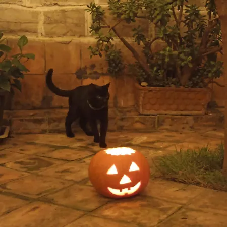 度假居 Bellofatto 那不勒斯