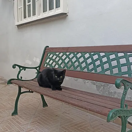 Casa de Férias Bellofatto *