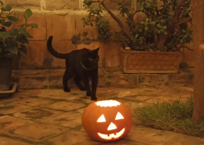 Hébergement de vacances Bellofatto Naples